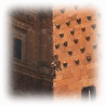 Salamanca, il palazzo della concha, con le conchiglie