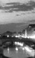 Firenze, i laureati
