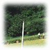 The green Euskadi