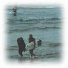 Surfers