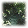 Monument for the Encierro